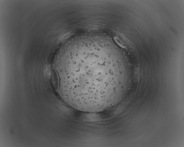 X0000116620383200912241758