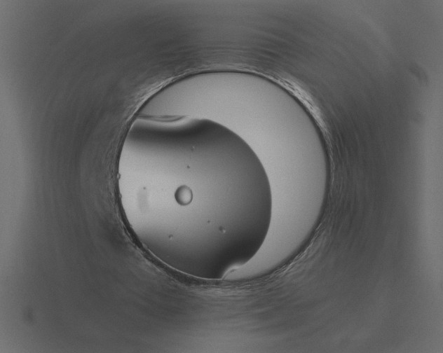 X0000116620385200912241757