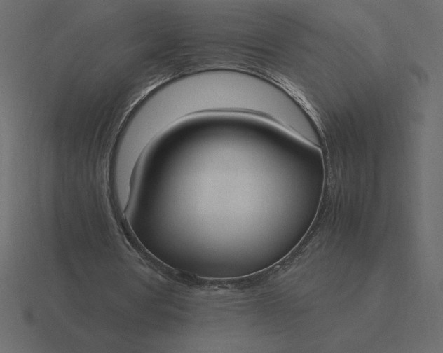 X0000116620386200912241757