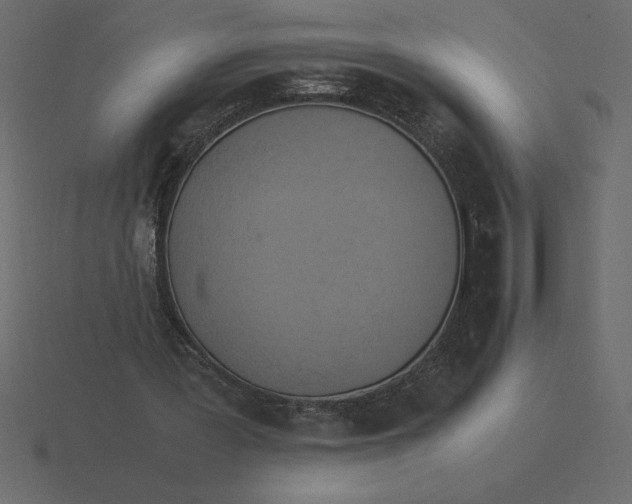 X0000116620387200912241757