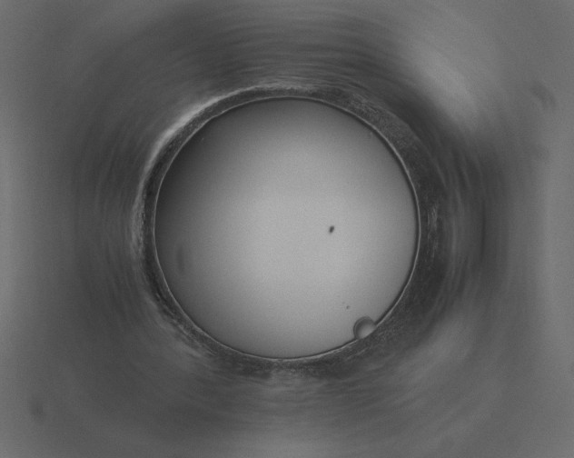 X0000116620388200912241757