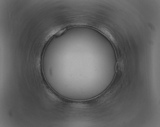 X0000116620389200912241757