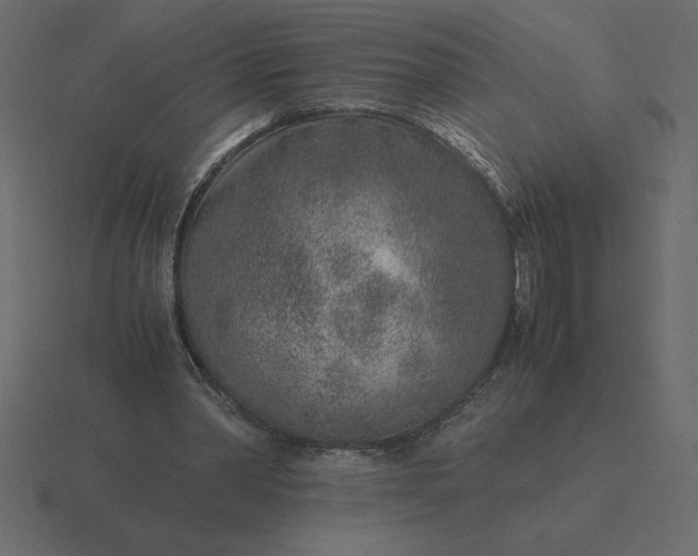 X0000116620390200912241757