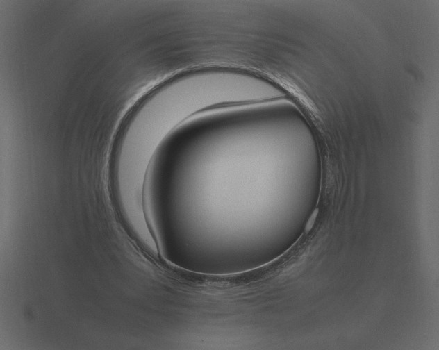 X0000116620391200912241757