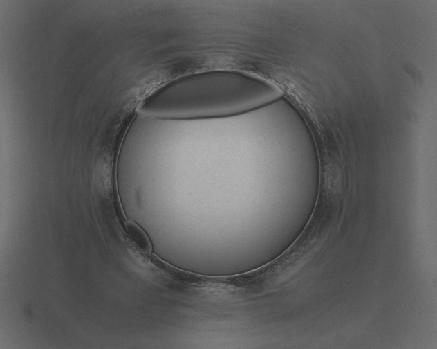 X0000116620393200912241757