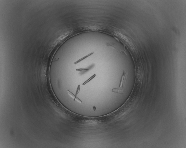 X0000116620394200912241757