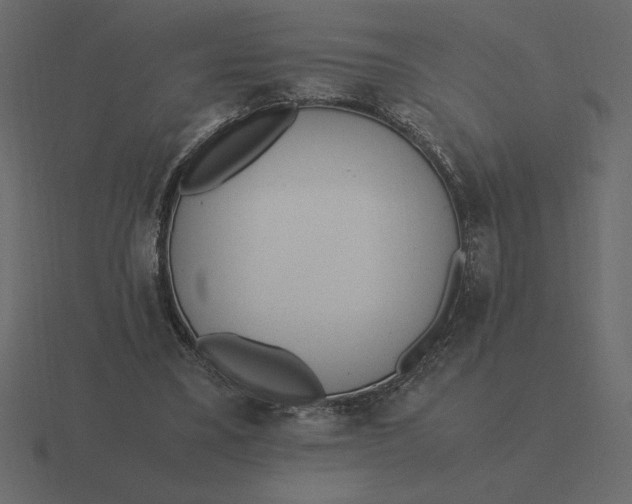 X0000116620395200912241757