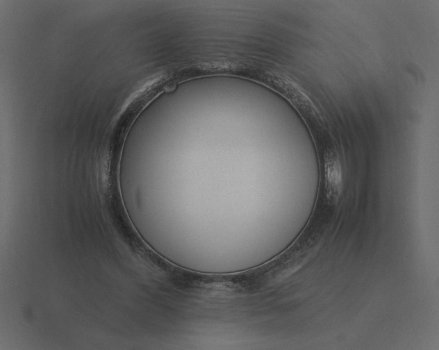 X0000116620396200912241757