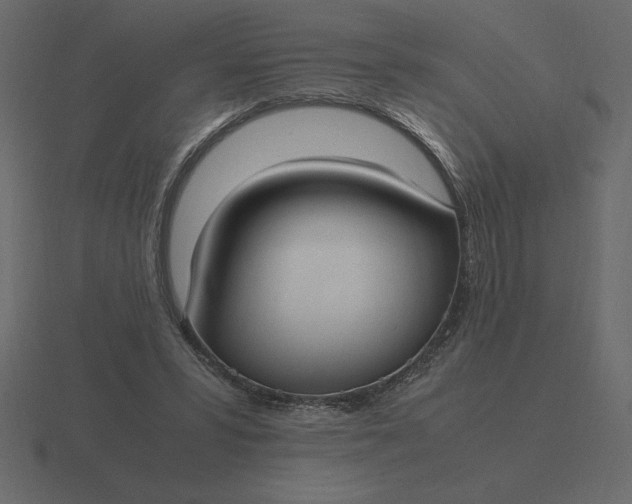 X0000116620399200912241757