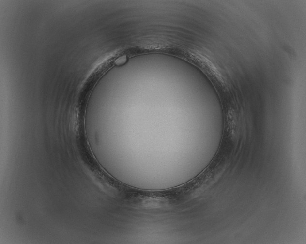 X0000116620400200912241757