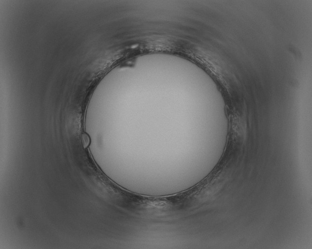 X0000116620401200912241757