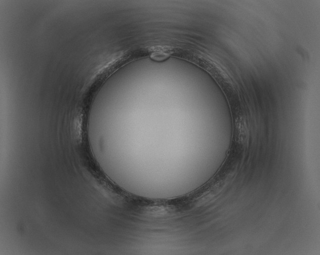 X0000116620404200912241757