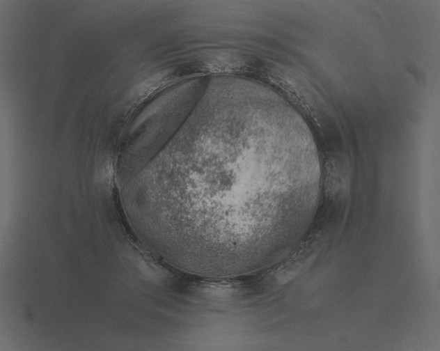 X0000116620405200912241757