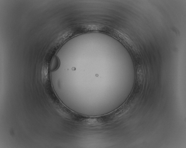 X0000116620406200912241757