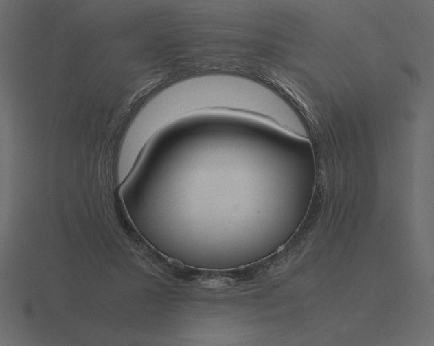 X0000116620407200912241757