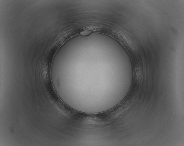 X0000116620408200912241757