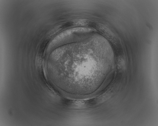 X0000116620409200912241757