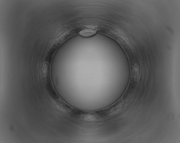 X0000116620412200912241757