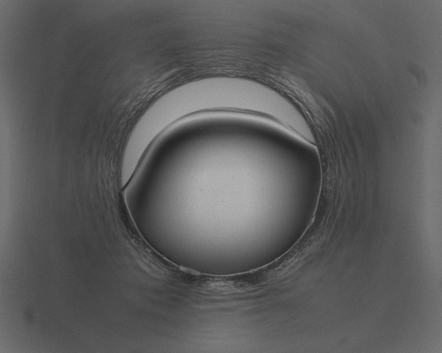 X0000116620413200912241757