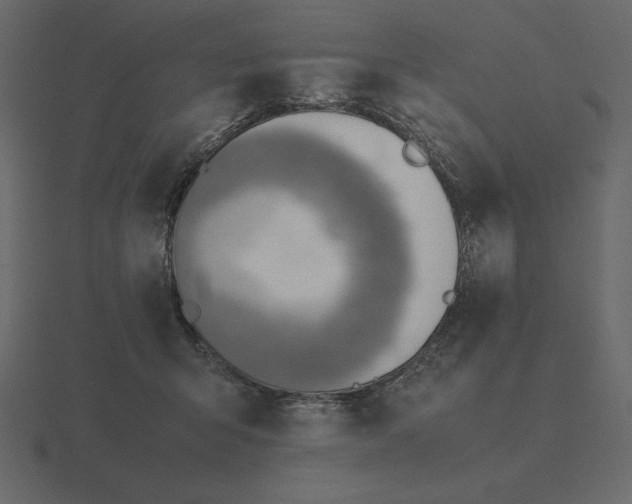 X0000116620415200912241757