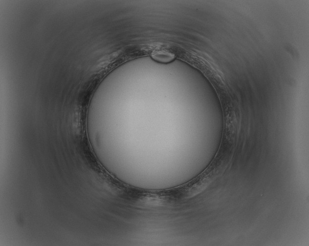 X0000116620416200912241757