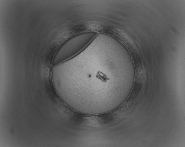 X0000116620417200912241757