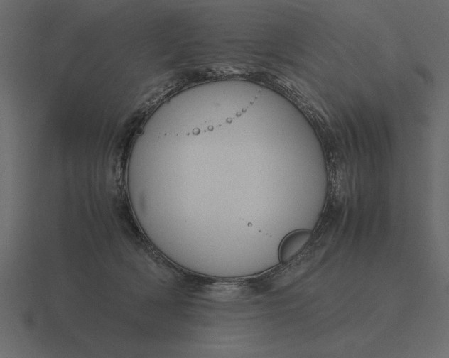 X0000116620418200912241757