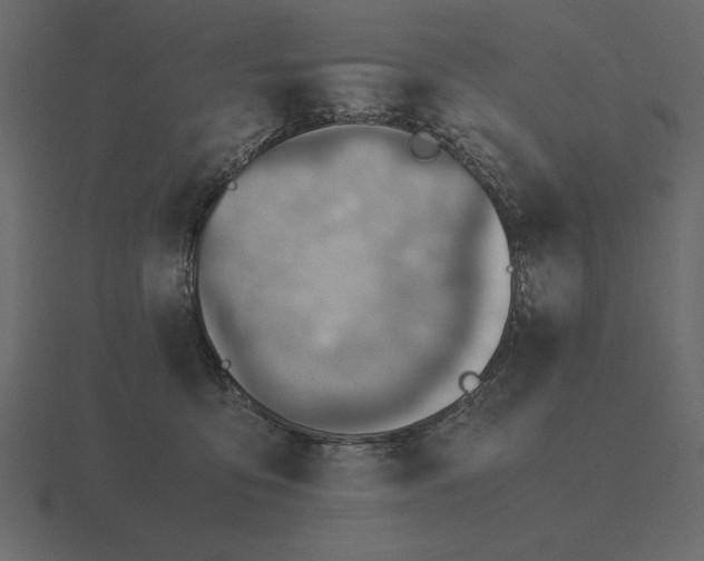 X0000116620419200912241757