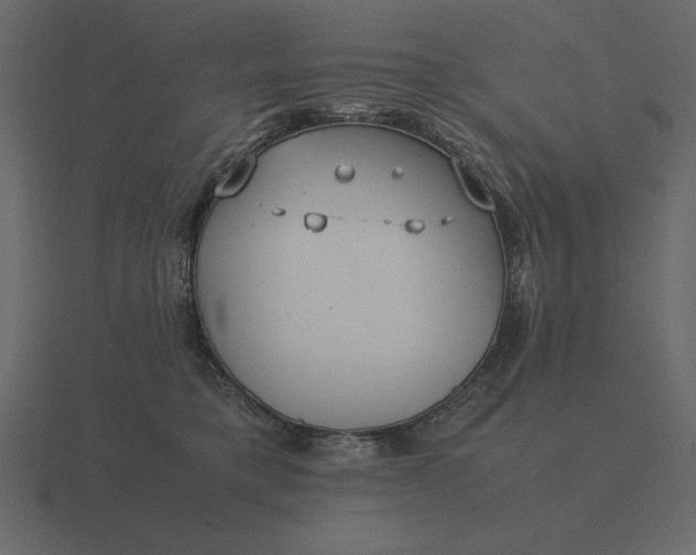 X0000116620421200912241757