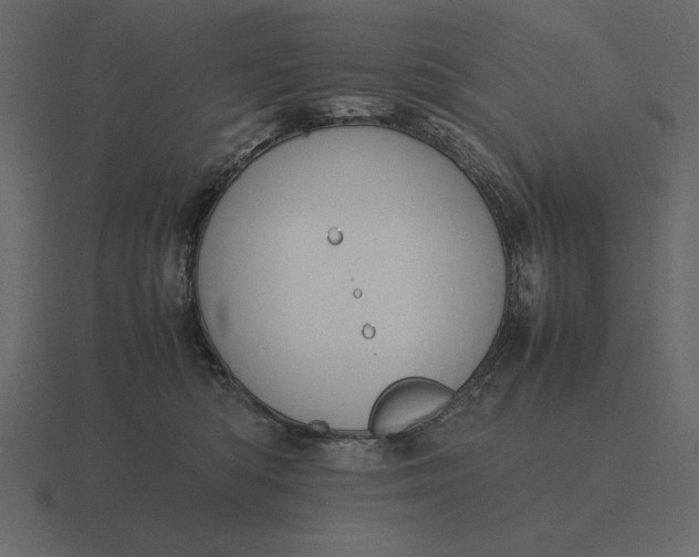 X0000116620422200912241757