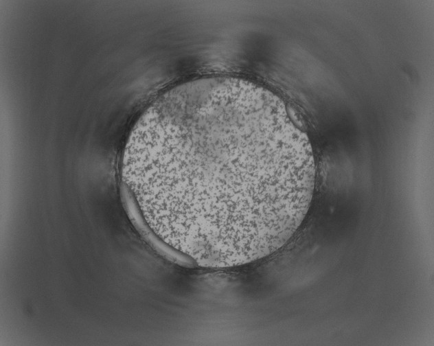 X0000116620423200912241756