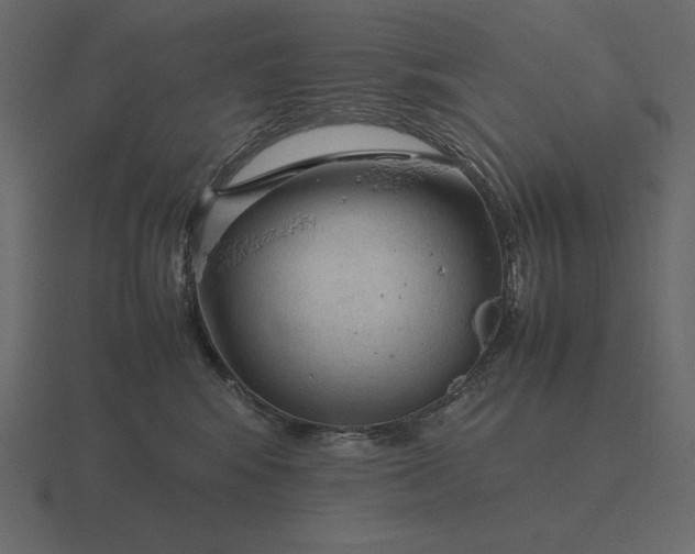 X0000116620424200912241756