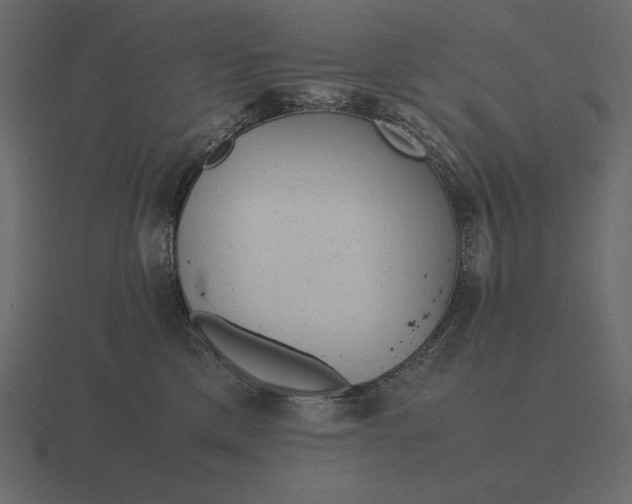 X0000116620425200912241756