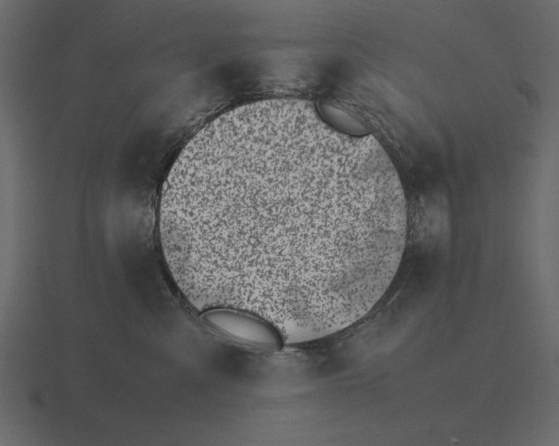 X0000116620427200912241756