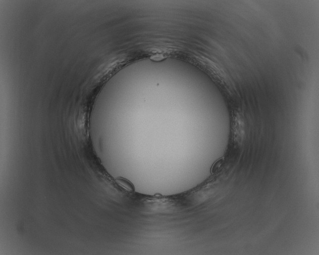 X0000116620428200912241756