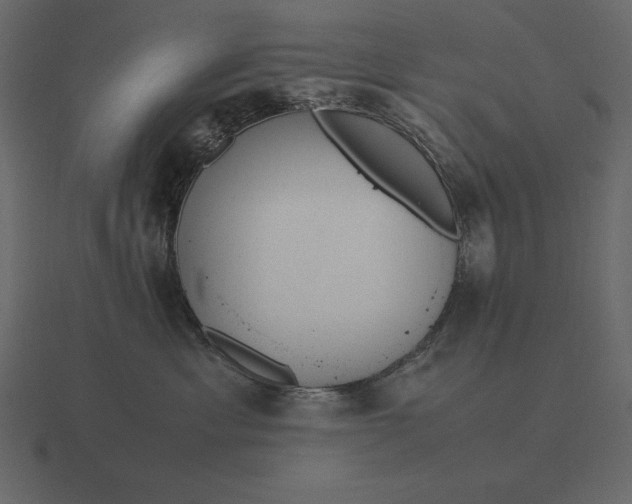 X0000116620429200912241756