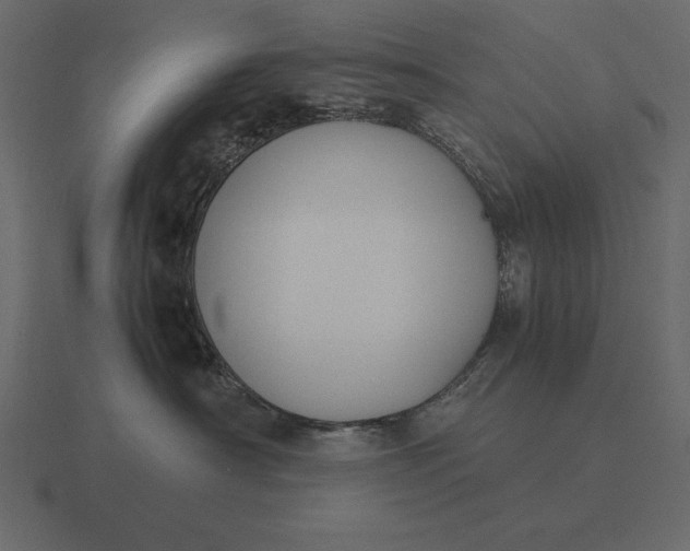 X0000116620430200912241756