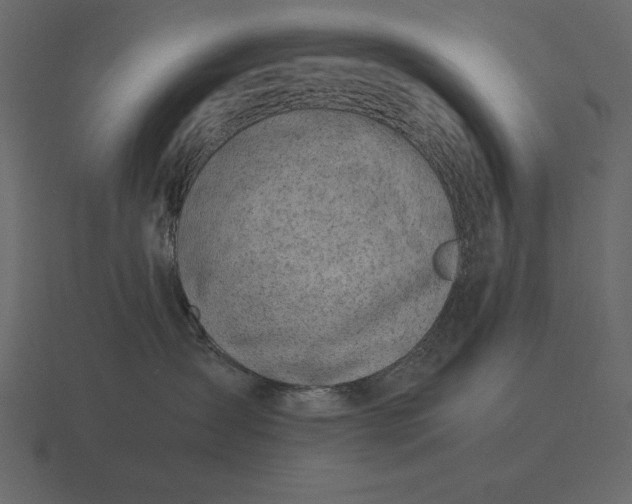 X0000116620431200912241756