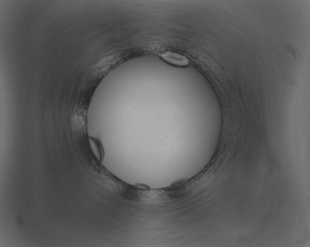 X0000116620432200912241756