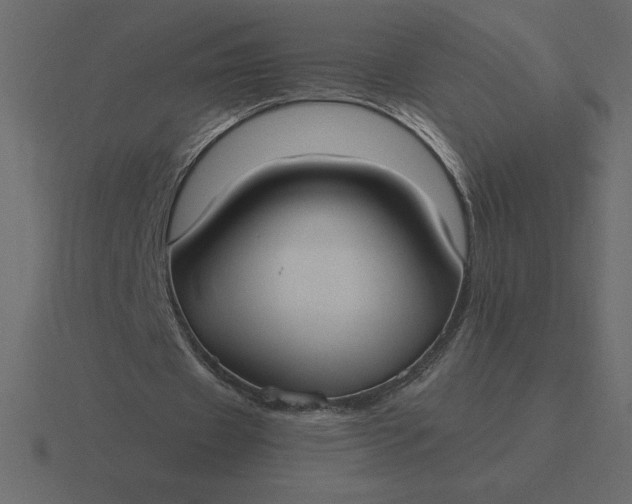 X0000116620433200912241756