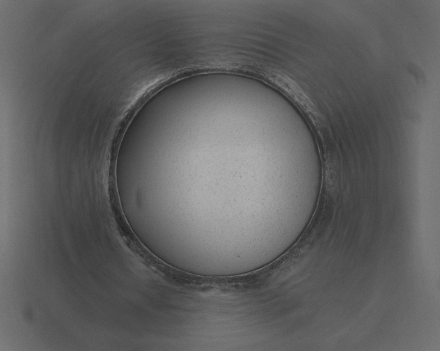 X0000116620434200912241756