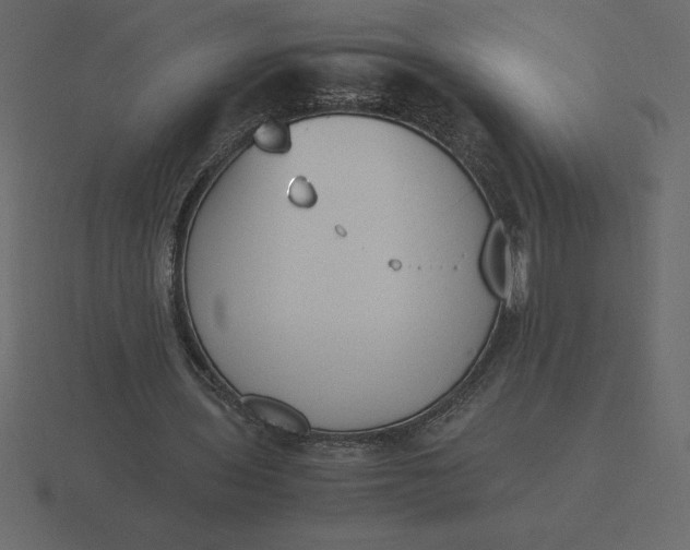 X0000116620435200912241756