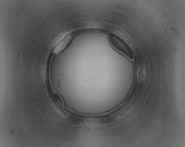 X0000116620436200912241756