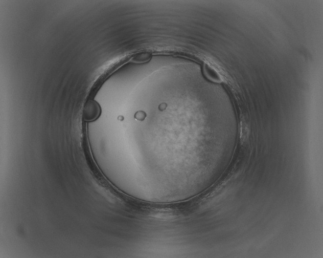 X0000116620438200912241756