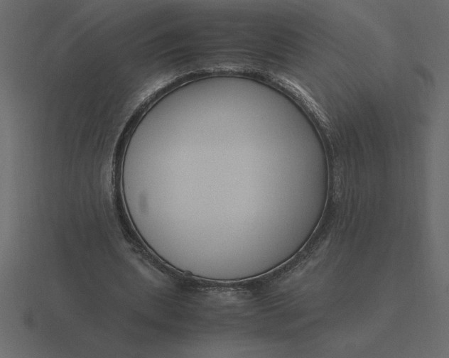 X0000116620439200912241756