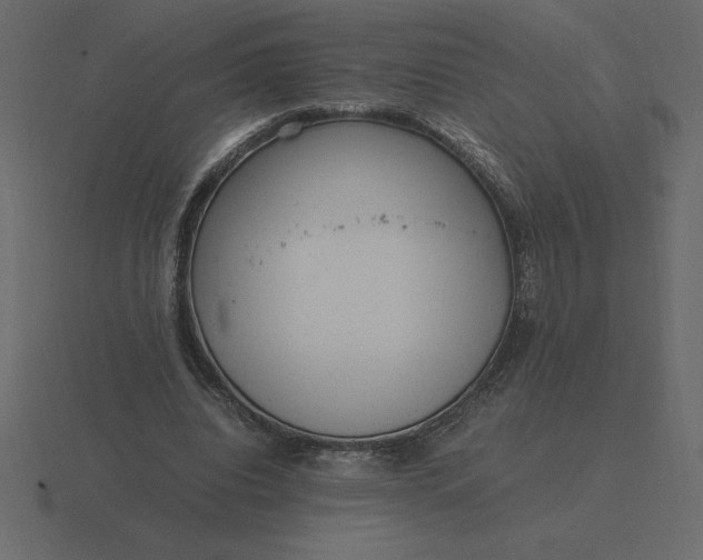 X0000116620440200912241756