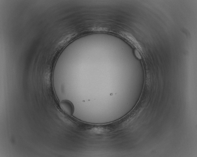 X0000116620441200912241756