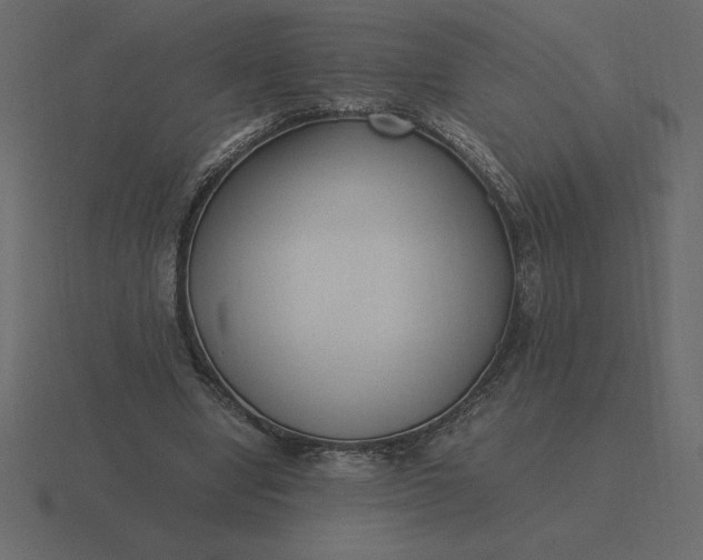 X0000116620442200912241756