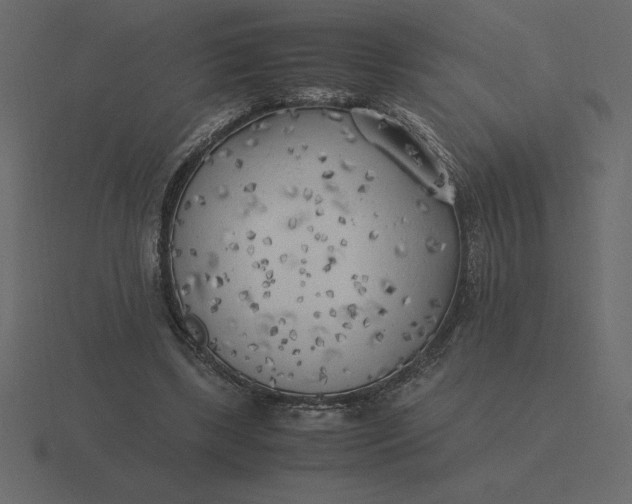 X0000116620443200912241756