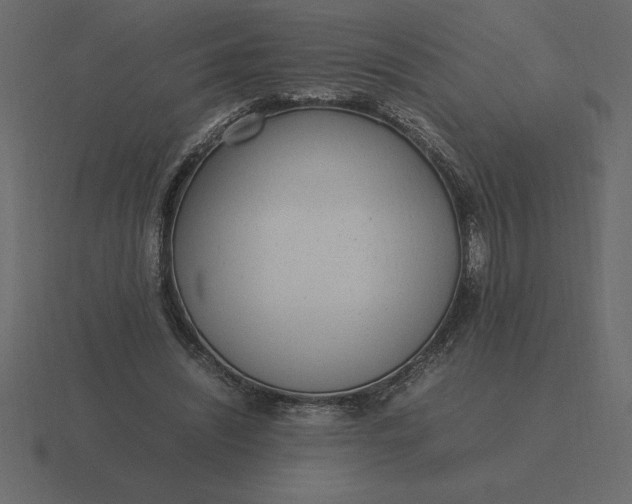 X0000116620444200912241756